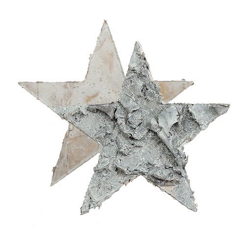 Product Scattered birch star whitewashed Ø4cm 80p