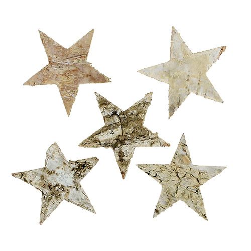 Floristik24 Birch stars 6cm 100 pcs