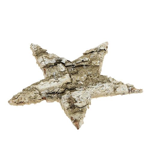 Floristik24 Birch stars 6cm 100 pcs