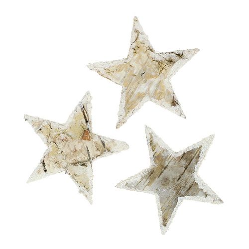 Floristik24 Birch stars nature snowed 6.5cm 30p