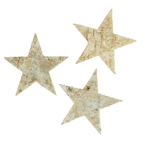 Floristik24 Birch stars 9cm 70p