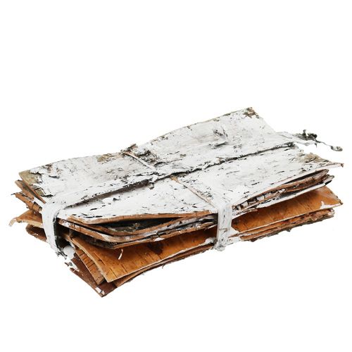 Floristik24 Bark slices 20cm x 12cm white, washed 8pcs