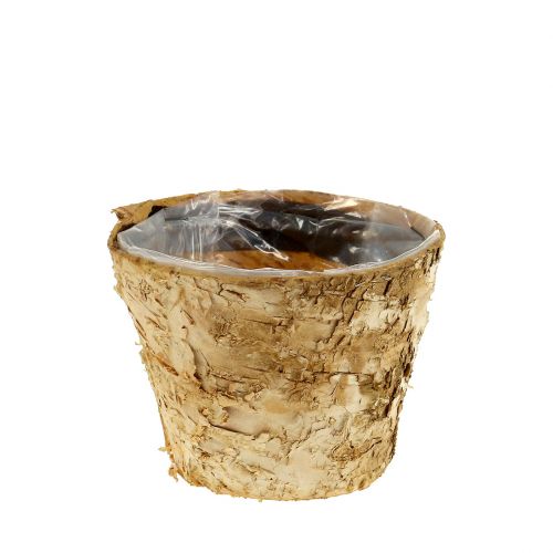 Floristik24 Birch pot Ø12cm H10cm