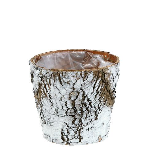 Birch pot small planter birch white Ø10cm H8.5cm 6 pcs