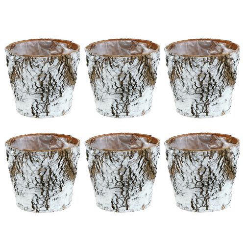 Product Birch pot small planter birch white Ø10cm H8.5cm 6 pcs