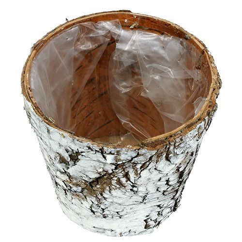 Product Birch pot medium plant pot birch white Ø12cm H10.5cm 4 pcs