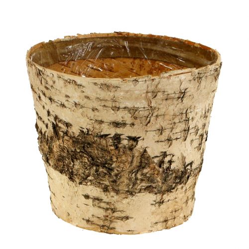 Floristik24 Birch pot Ø15cm H13cm