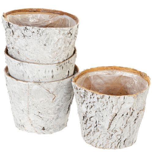 Floristik24 Birch pot, medium size, plant pot, birch, white, Ø12cm, H10.5cm, 4 pieces