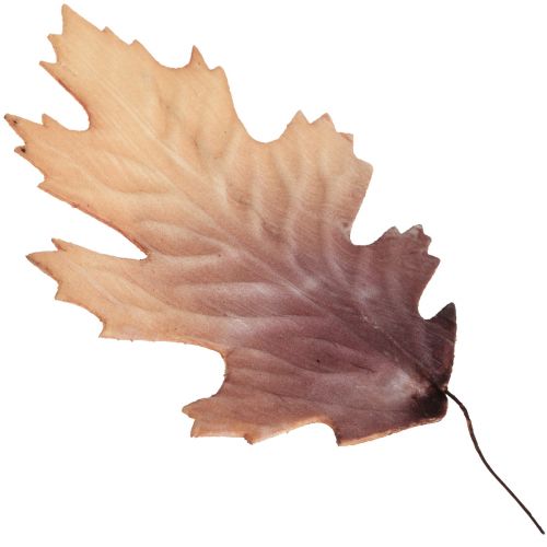 Floristik24 Red oak leaf autumn leaves deco leaves deco 13×19cm 12pcs