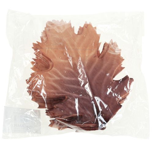 Floristik24 Red oak leaf autumn leaves deco leaves deco 13×19cm 12pcs