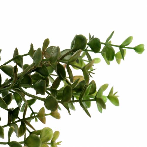 Product Boxwood decorative branch green 40cm