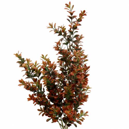 Floristik24 Boxwood deco branch autumnal 50cm