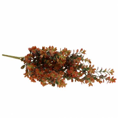 Floristik24 Boxwood deco branch autumnal 50cm