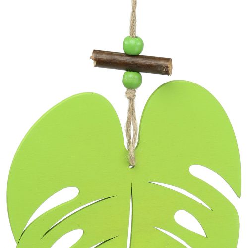 Product Window decoration leaf to hang light green 14.5cm