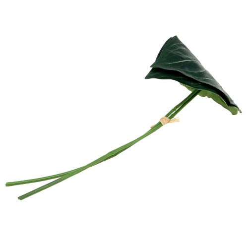 Floristik24 Caladium leaf 32cm 2pcs