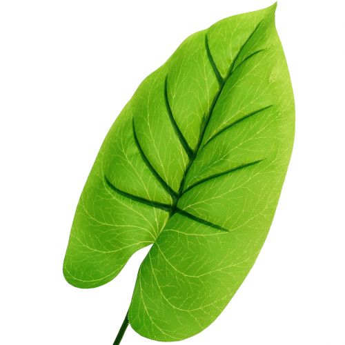 Floristik24 Decorative leaf Funkie, Hosta 40cm 5pcs