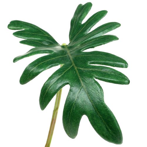 Product Philodendron leaf 31cm green 12pcs