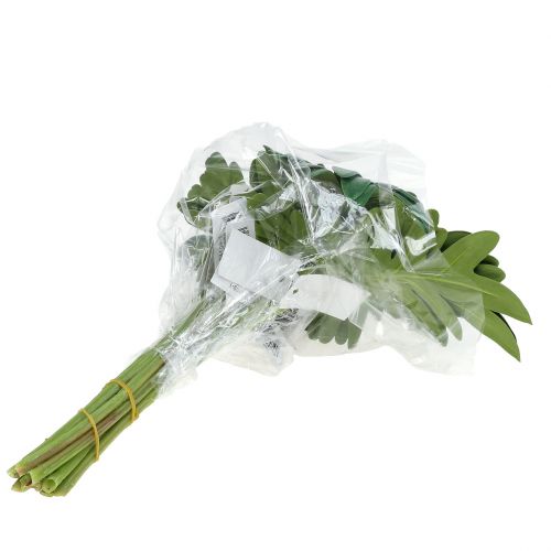 Product Leaf Philodendron 31cm Green 12 pcs