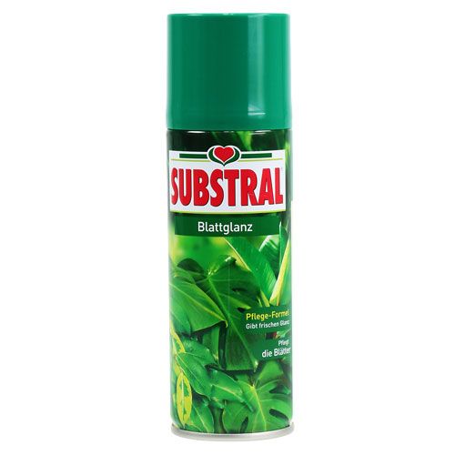 Floristik24 Leaf gloss 200ml