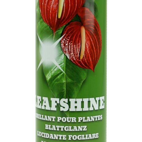 Floristik24 Leaf gloss spray 400ml