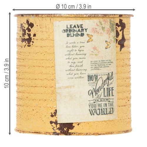 Product Tin can decorative can Apricot metal plant pot Ø11cm H10.5cm