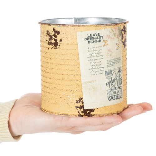 Tin can decorative can Apricot metal plant pot Ø11cm H10.5cm | Floristik24.co.uk