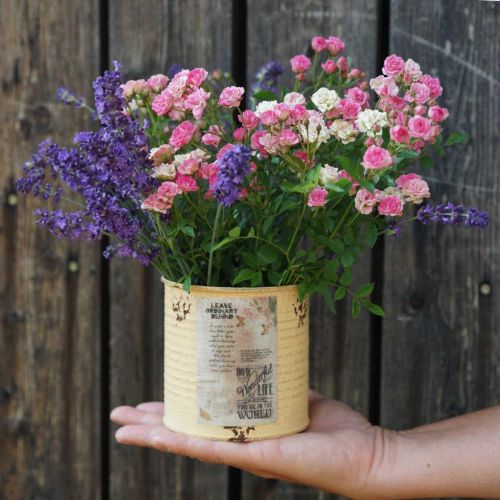 Product Tin can decorative can Apricot metal plant pot Ø11cm H10.5cm