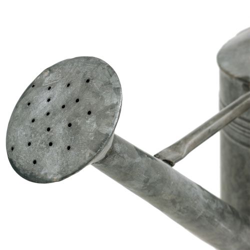 Floristik24 Tin watering can Gray 23,5cm x 17,5cm H19cm