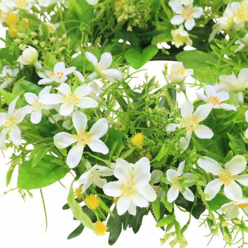 Floristik24 Wreath anemone/dill green, white Ø30cm