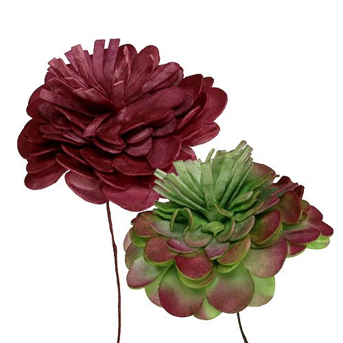 Floristik24 Flower of Foam 7cm Green / Bordeaux 12pcs