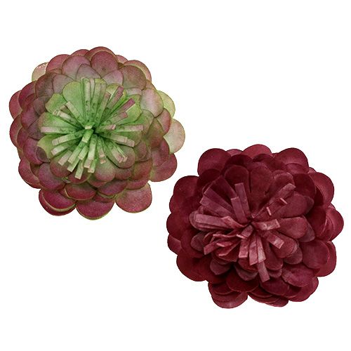 Floristik24 Flower of Foam 7cm Green / Bordeaux 12pcs