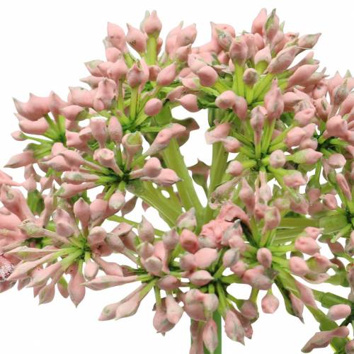 Product Artificial Allium Pink 55cm