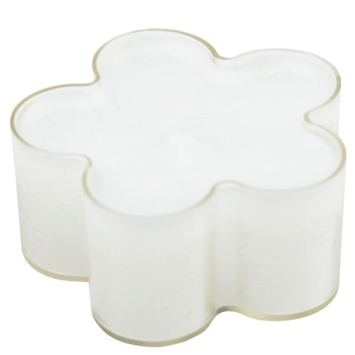 Floristik24 Flower light white 12pcs