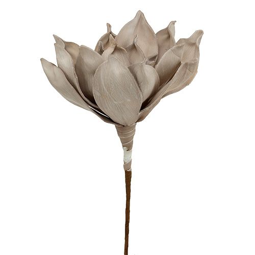 Floristik24 Flower branch foam gray 65cm