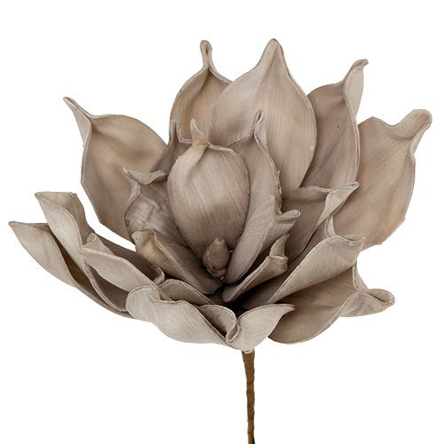 Floristik24 Flower branch foam gray 65cm