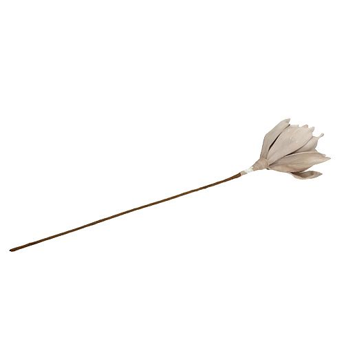 Floristik24 Flower branch foam gray 65cm