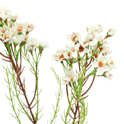 Product Flowering branch green, white 80cm 3pcs
