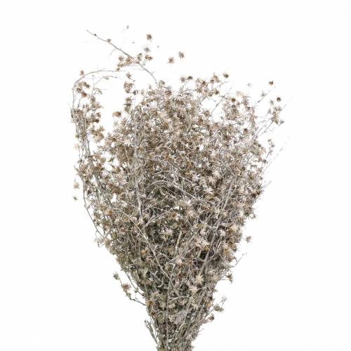 Dry floristry wild flower branch washed white 60cm 100g