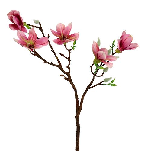 Floristik24 Magnolia mini pink, pink L53cm 3pcs
