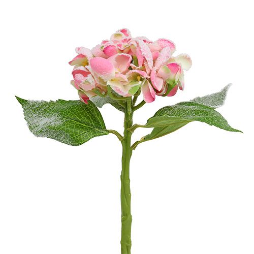 Product Hydrangea pink snowed 33cm 4pcs