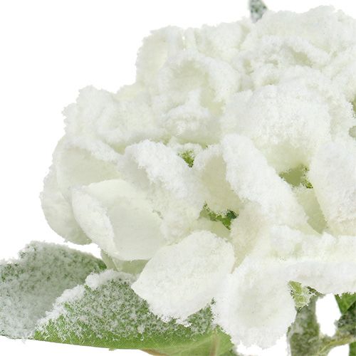Floristik24 Hydrangea white snowed 33cm 4pcs