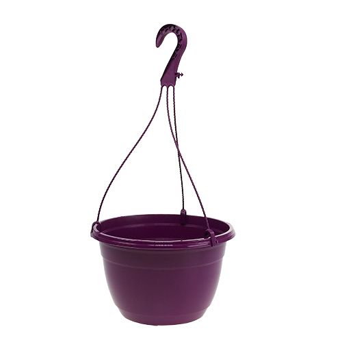 Floristik24 Hanging basket 25cm purple