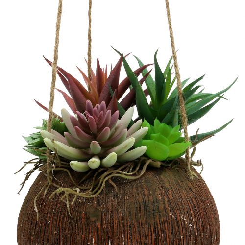 Floristik24 Hanging basket with artificial succulents L65cm Ø16cm