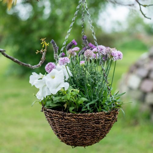 Floristik24 Flower basket brown hanging basket hanging basket plant basket Ø25cm