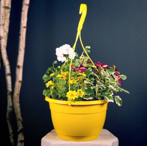 Product Hanging basket 25cm purple