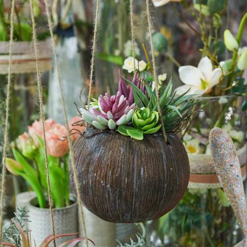 Floristik24 Hanging basket with artificial succulents L65cm Ø16cm