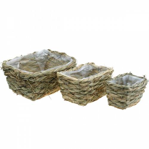 Floristik24 Flower basket, decorative basket made of hay, planter, decorative basket square set of 3