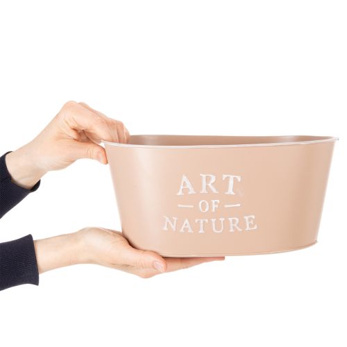 Oval zinc flower bowl, antique rose, planter, 27×18cm, H12.5cm | Floristik24.co.uk