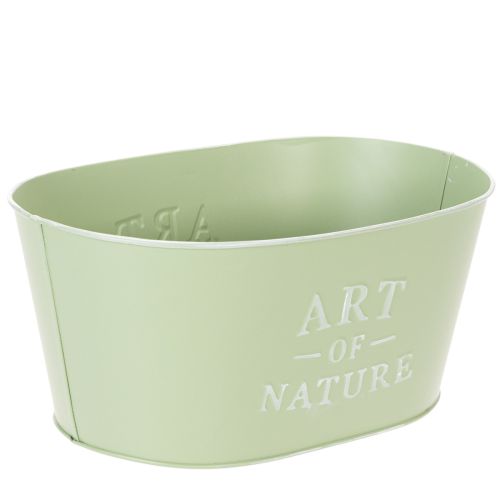 Flower bowl oval zinc mint green 27×18cm H12.5cm | Floristik24.co.uk