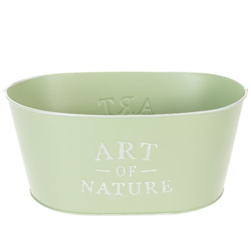 Flower bowl oval zinc mint green 27×18cm H12.5cm buy online | Floristik24.co.uk